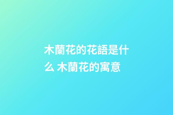 木蘭花的花語是什么 木蘭花的寓意